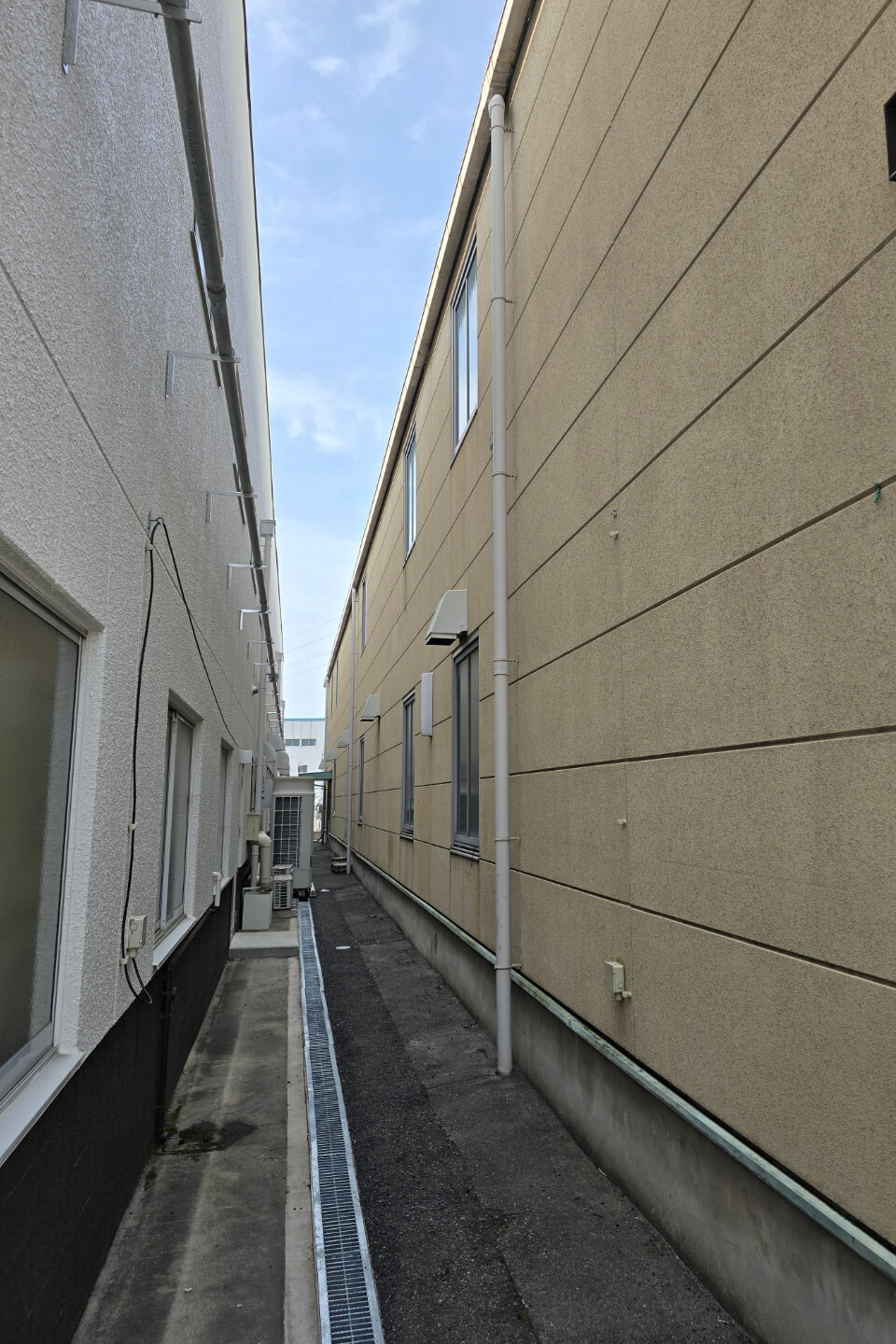 Before image